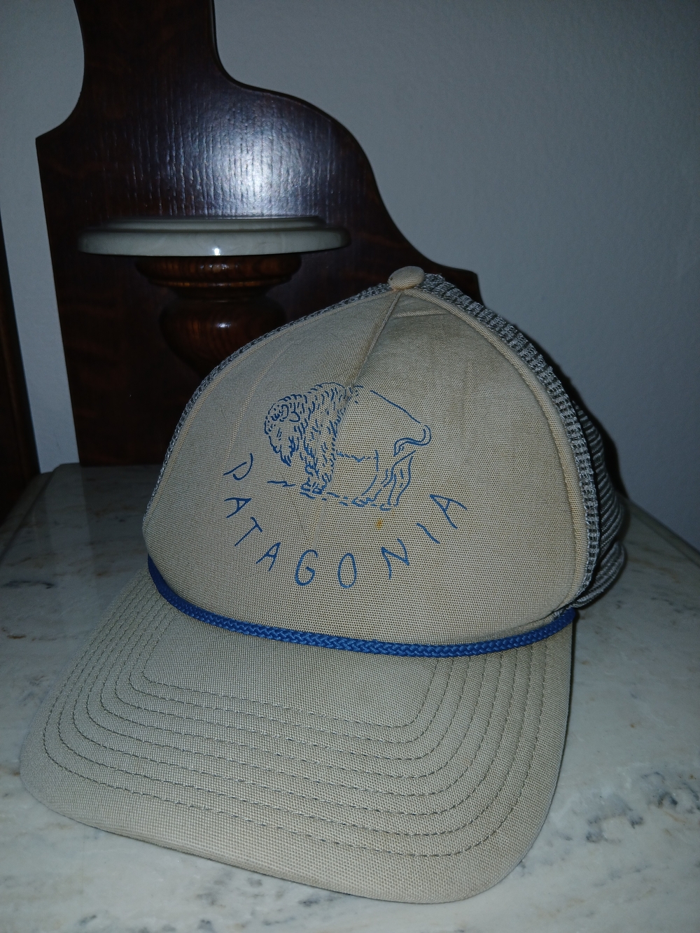 Vintage Patagonia Trucker Hat • Tan & Blue • Hand-Drawn Buffalo• One Size